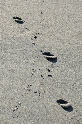 DSC_2973.JPG