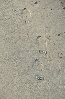 DSC_2980.JPG