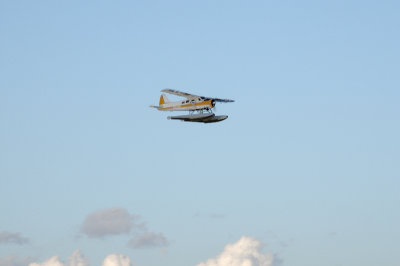 DSC_2992.JPG