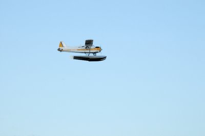DSC_2993.JPG