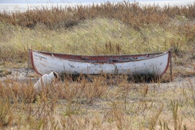 DSC_3034.JPG