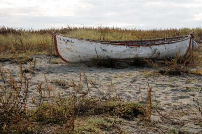DSC_3039.JPG
