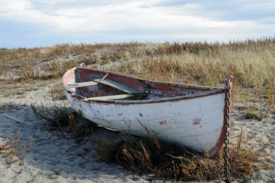 DSC_3045.JPG