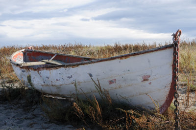 DSC_3047.JPG