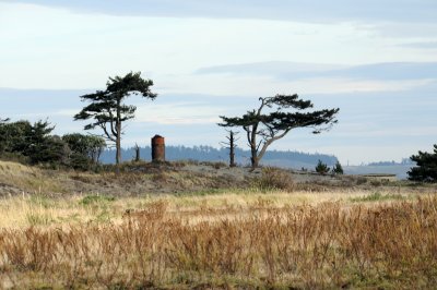 DSC_3049.JPG