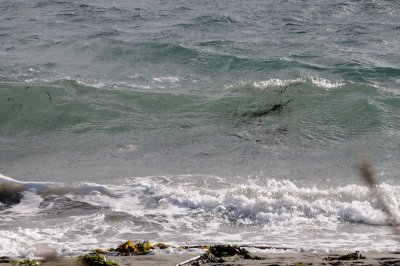 DSC_3054.JPG