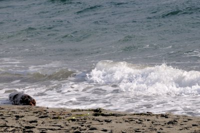 DSC_3069.JPG