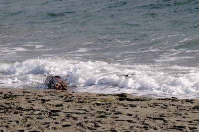 DSC_3070.JPG