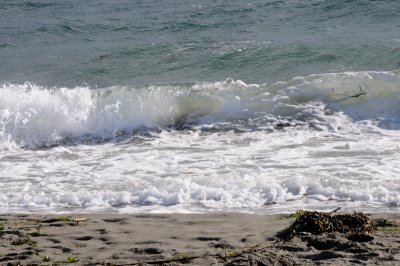 DSC_3071.JPG