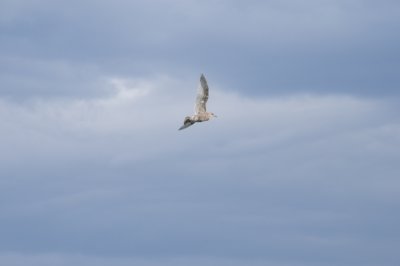 DSC_3123.JPG