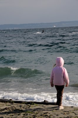 DSC_3141.JPG