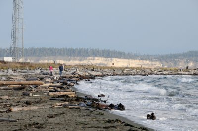 DSC_3148.JPG