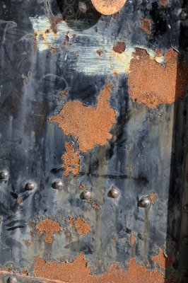 DSC_3269.JPG