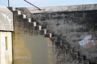 DSC_3274.JPG