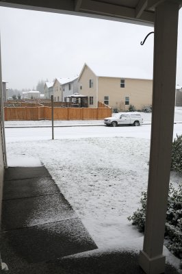 DSC_4204.JPG