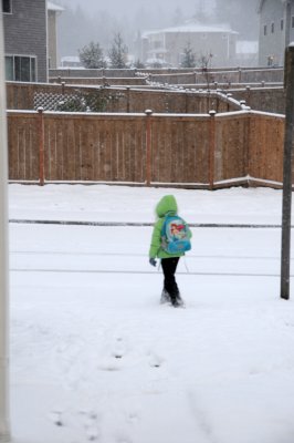 DSC_4231.JPG