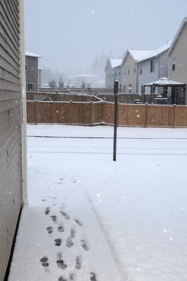 DSC_4232.JPG