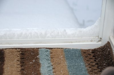 DSC_4234.JPG