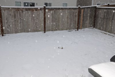 DSC_4235.JPG