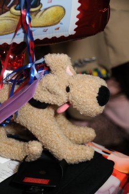 DSC_4417.JPG