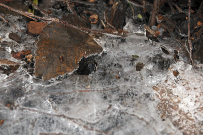 DSC_5440.JPG