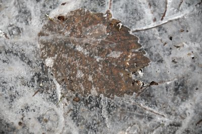 DSC_5441.JPG