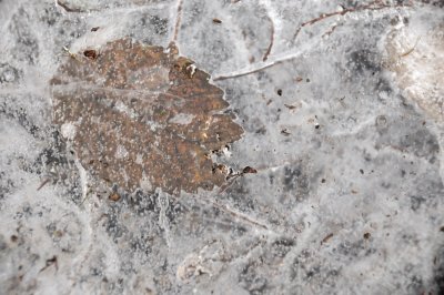 DSC_5443.JPG