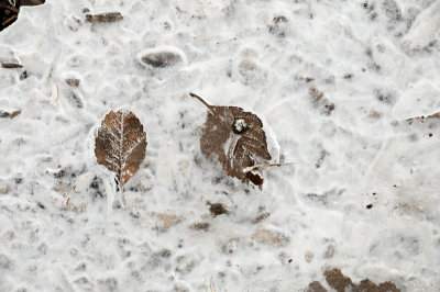 DSC_5447.JPG