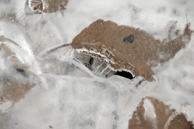 DSC_5448.JPG