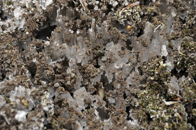 DSC_5451.JPG