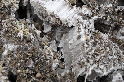 DSC_5452.JPG