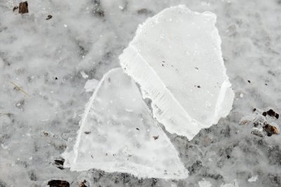 DSC_5453.JPG