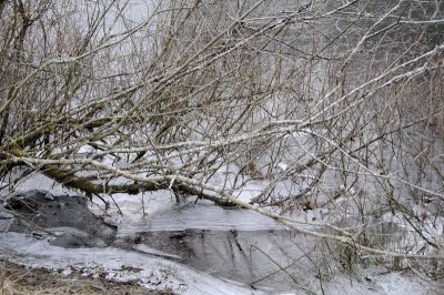 DSC_5455.JPG