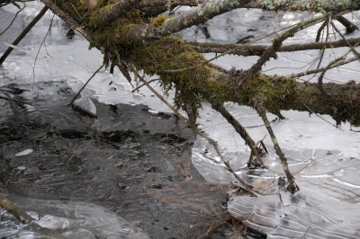 DSC_5460.JPG
