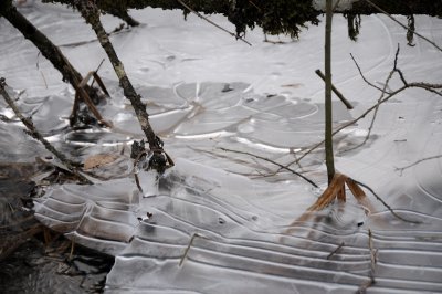 DSC_5461.JPG
