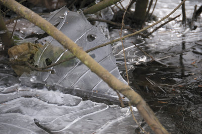 DSC_5465.JPG
