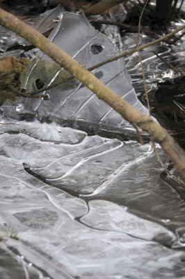DSC_5467.JPG