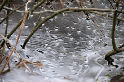 DSC_5470.JPG