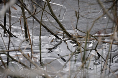 DSC_5472.JPG