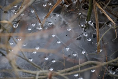 DSC_5473.JPG
