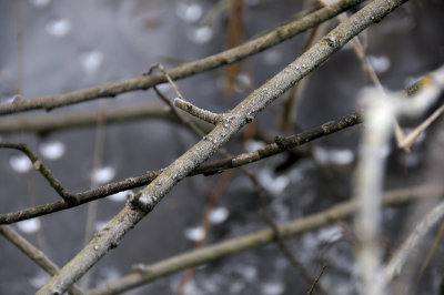 DSC_5475.JPG