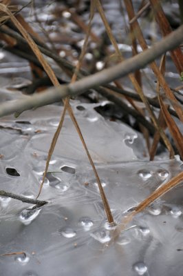 DSC_5476.JPG