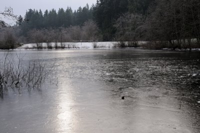 DSC_5482.JPG