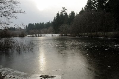 DSC_5483.JPG