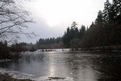 DSC_5485.JPG