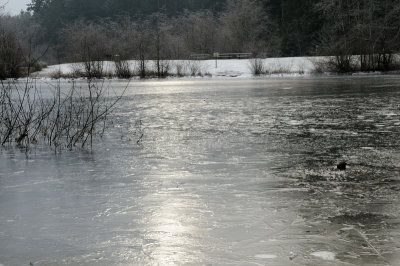 DSC_5486.JPG