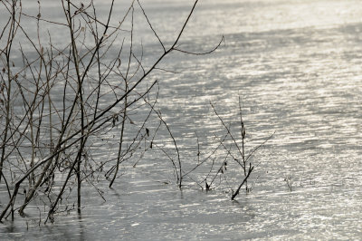 DSC_5489.JPG