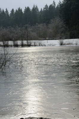 DSC_5490.JPG