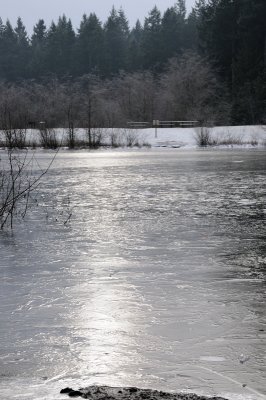 DSC_5491.JPG