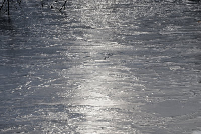 DSC_5492.JPG